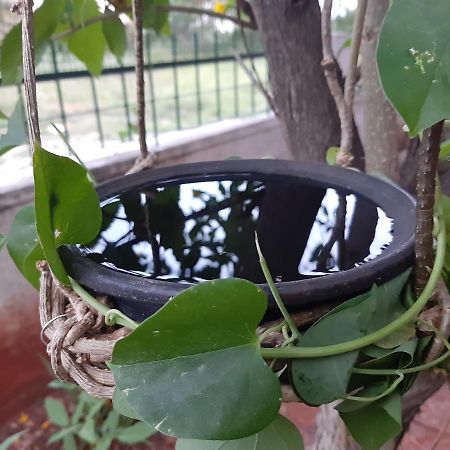 Agsara Home Stay Coimbatore Exterior foto